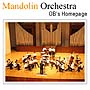 Mandolin Orchestra