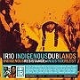 Various Artists - Indigenous Resistance